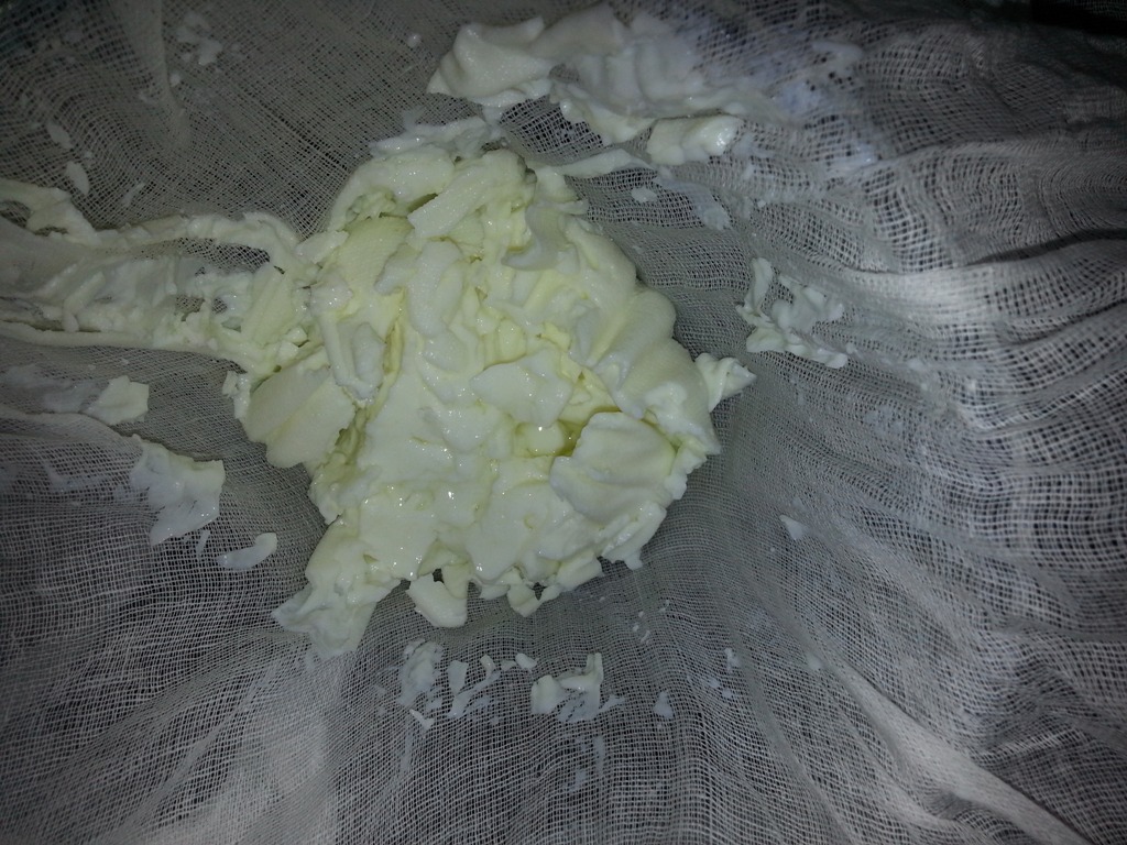 Home made quarkstyle cottage cheese The Budwig Diet & Protocol