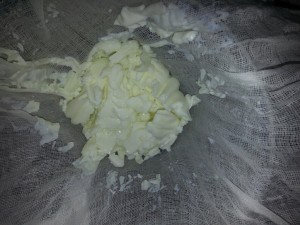 finished quark style cottage cheese