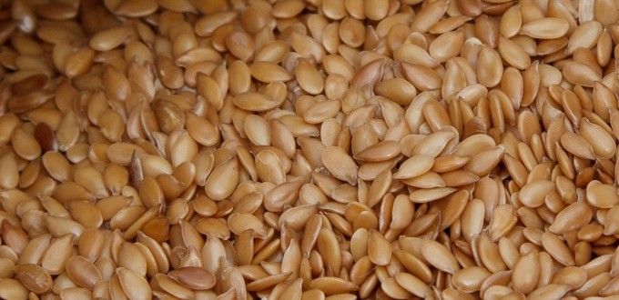 Linseed (flax): one of the World’s 100 healthiest foods