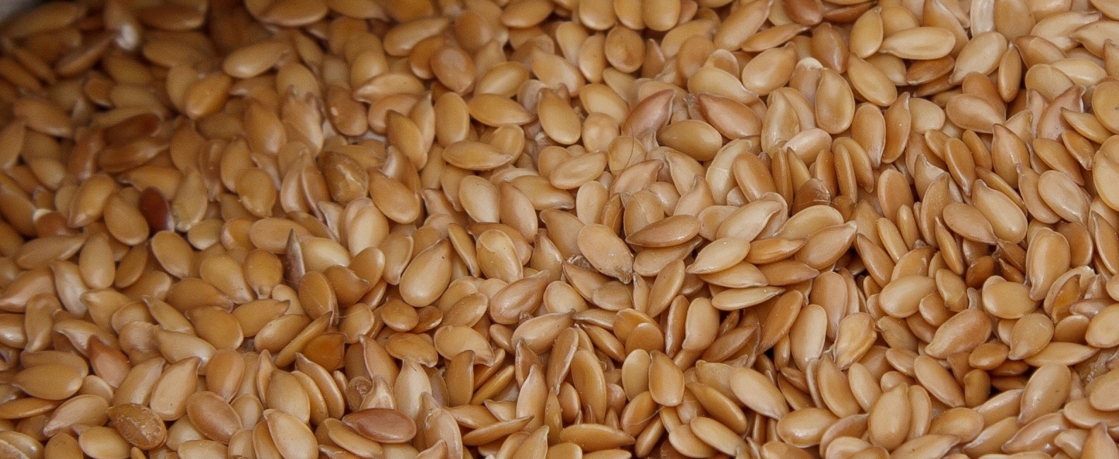 Linseed Flax one of the World's healthiest foods